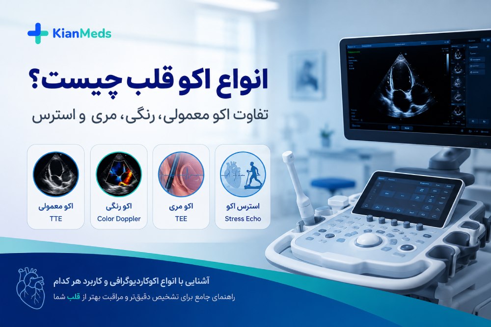 انواع اکو قلب چیست؟ تفاوت اکو معمولی، رنگی، مری و استرس