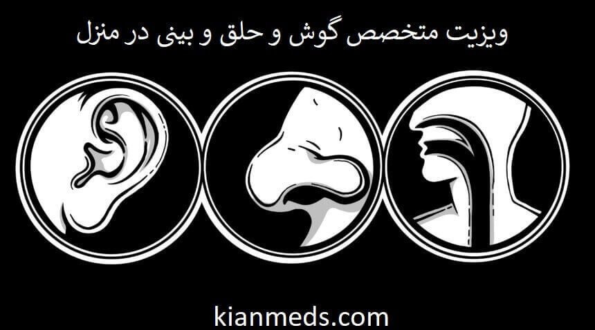 ویزیت متخصص گوش و حلق و بینی در منزل یا خانه تهران . دکتر گوش و حلق و بینی خانم در منزل تهران . پزشک گوش و حلق و بینی آقا در تهران . ویزیت فوق تخصص گوش و حلق و بینی خانم و آقا در منزل تهران.
